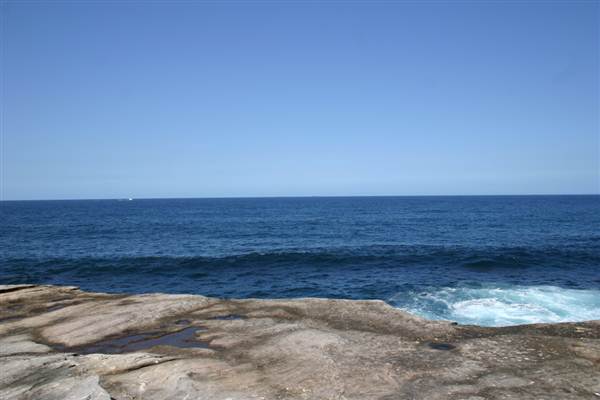 Clovelly Bay (3/03/2013 4:34:37 PM)