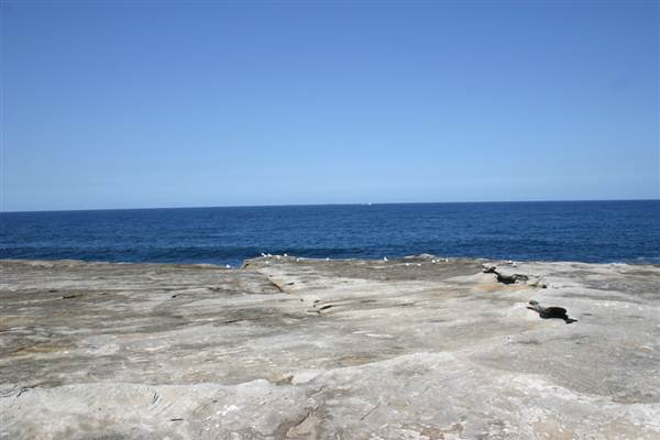 Clovelly Bay (3/03/2013 4:35:05 PM)