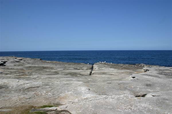 Clovelly Bay (3/03/2013 4:35:33 PM)