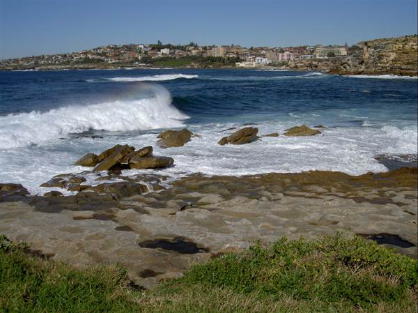 Clovelly Bay (3/03/2013 4:36:38 PM)