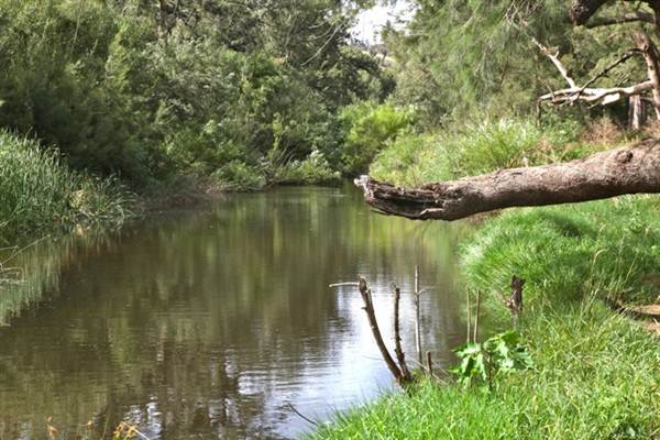 Cox's River at Duddawarra Bridge (4/03/2013 11:35:52 AM)