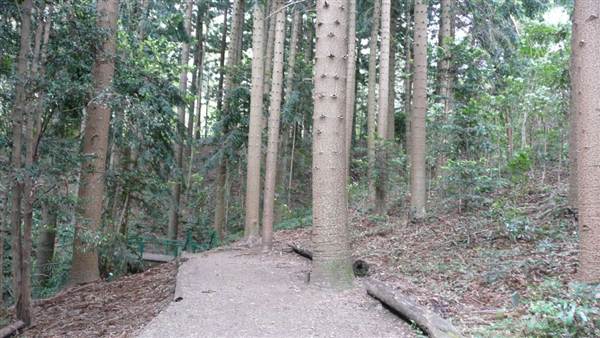 Cumberland State Forest (4/03/2013 12:05:55 PM)