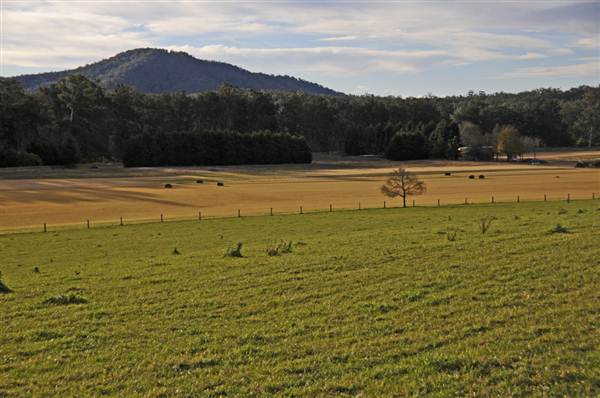 Eurobodalla Area (4/03/2013 1:45:15 PM)