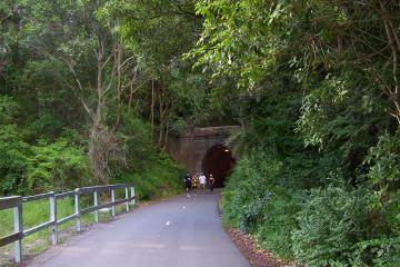 Fernleigh Track tunnel (4/03/2013 2:46:34 PM)
