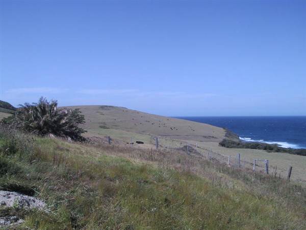 Gerroa (4/03/2013 4:36:02 PM)