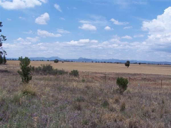 Gilgandra Rural Area (4/03/2013 4:40:09 PM)