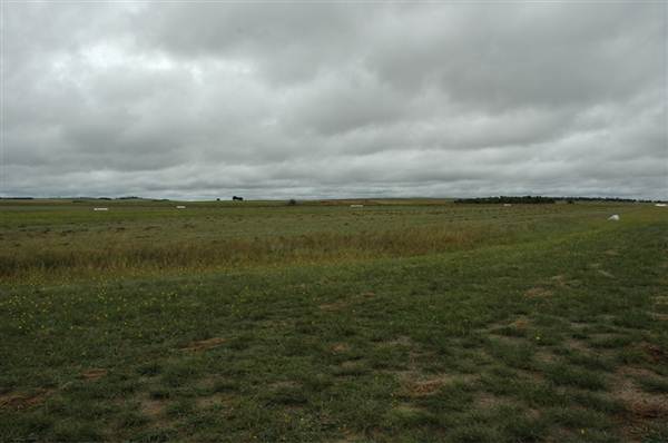 Goulburn Airport runway and exteriors (5/03/2013 11:12:15 AM)
