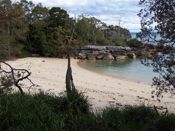 Honeymoon Beach, Beecroft Peninsula (5/03/2013 2:23:41 PM)