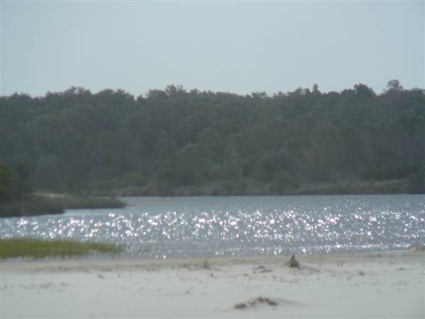 Killick Beach & Sand Dunes - Hat Head National Park (5/03/2013 7:30:08 PM)