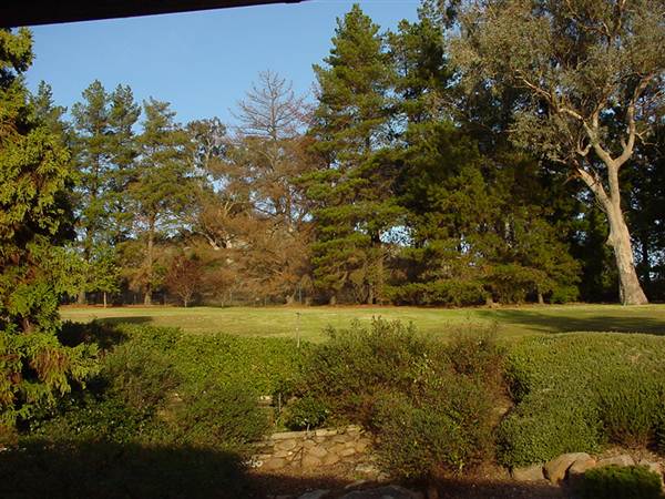 Japanese Gardens Cowra (5/03/2013 10:00:58 PM)