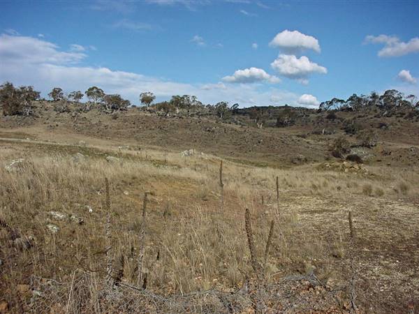 Lake Jindabyne (5/03/2013 11:17:45 PM)