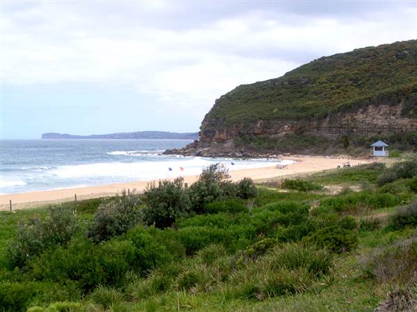 Putty Beach (6/03/2013 10:54:04 AM)