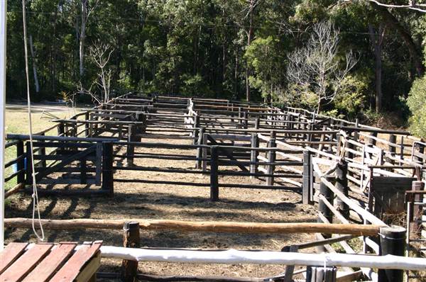 John Scott Kundabung Rodeo Grounds / Stables (6/03/2013 11:29:55 AM)