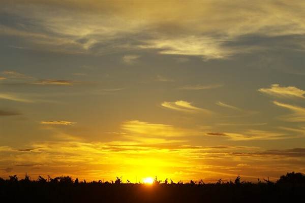 Leeton Shire (6/03/2013 11:56:14 AM)