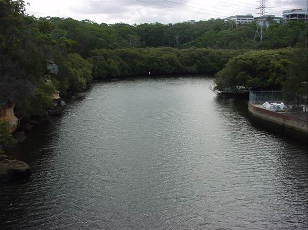 Lane Cove River (6/03/2013 12:07:42 PM)