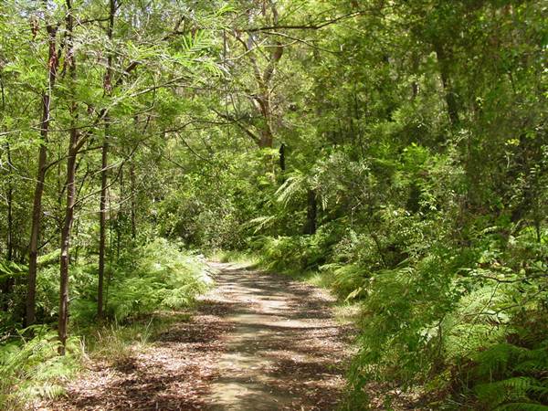 Lane Cove National Park (6/03/2013 12:08:47 PM)