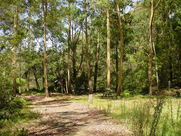 Lane Cove National Park (6/03/2013 12:09:18 PM)