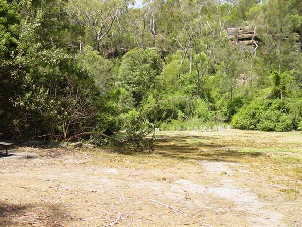Lane Cove National Park (6/03/2013 12:12:01 PM)