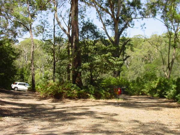 Lane Cove National Park (6/03/2013 12:12:33 PM)