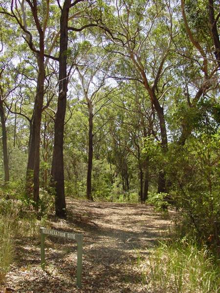 Lane Cove National Park (6/03/2013 12:13:44 PM)