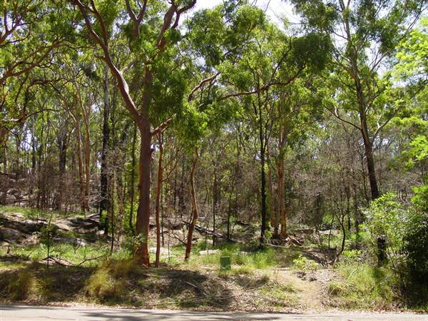 Lane Cove National Park (6/03/2013 12:14:24 PM)