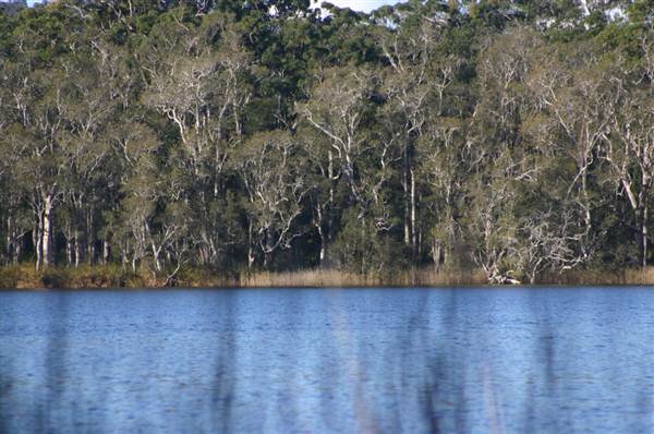 Myall Lakes National Park (6/03/2013 3:23:35 PM)