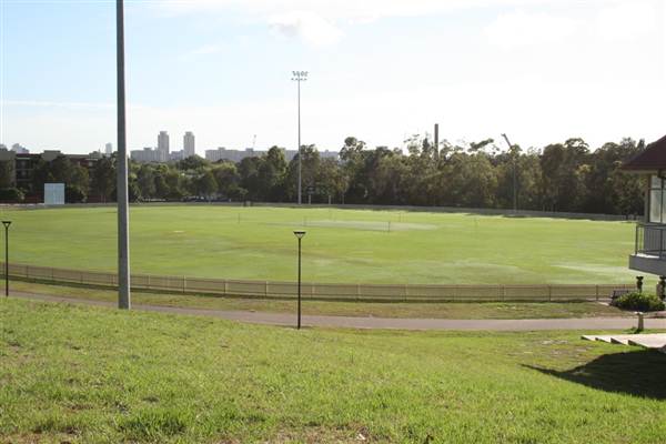 Sydney Park (6/03/2013 4:47:01 PM)
