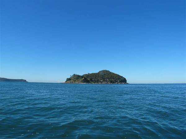 Lion Island (6/03/2013 9:37:41 PM)