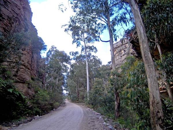 Lithgow Cliffs (7/03/2013 9:40:15 AM)