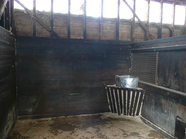 Lomar Park Stud (7/03/2013 10:01:37 AM)
