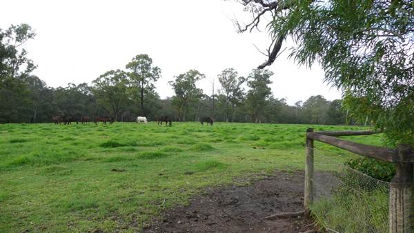 Lomar Park Stud (7/03/2013 10:02:43 AM)