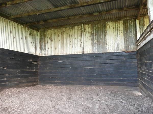 Lomar Park Stud (7/03/2013 10:03:18 AM)