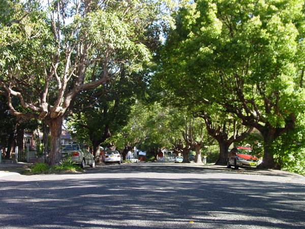 Marrickville Neighbourhood (7/03/2013 12:32:39 PM)