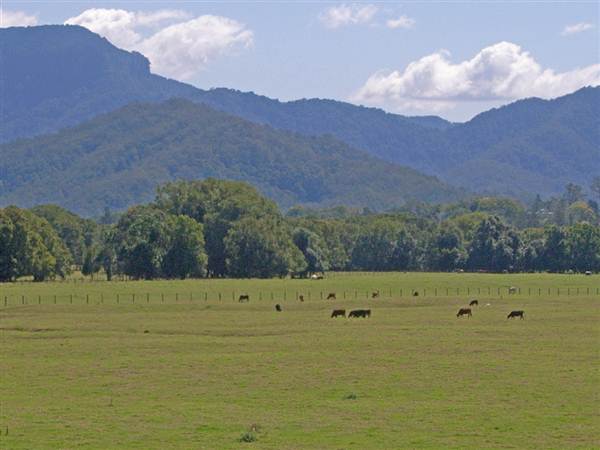 Murwillumbah (7/03/2013 1:59:46 PM)