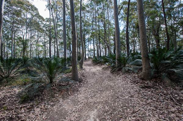 Murramarang National Park (7/03/2013 2:25:24 PM)