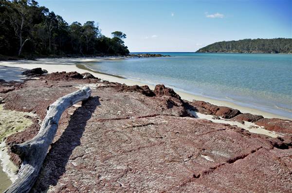 Pambula (7/03/2013 3:48:37 PM)