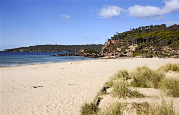 Pambula (7/03/2013 3:49:41 PM)