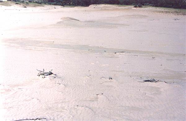 Milkengay Lake Sand Dunes (7/03/2013 11:03:29 PM)