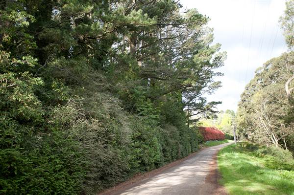 Milton Park Country House Hotel & Spa (7/03/2013 11:37:13 PM)