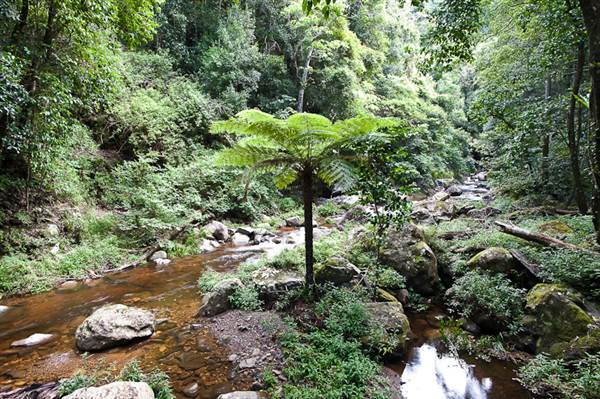 Minnamurra Falls (7/03/2013 11:41:06 PM)