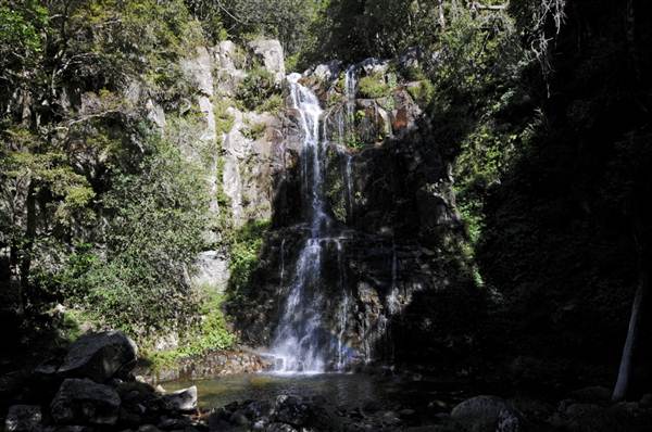 Minnamurra Falls (7/03/2013 11:42:57 PM)