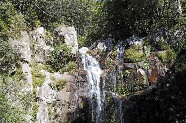 Minnamurra Falls (7/03/2013 11:43:41 PM)