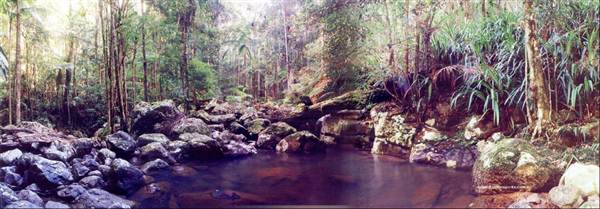 Minyon Falls - Nightcap National Park (7/03/2013 11:51:58 PM)