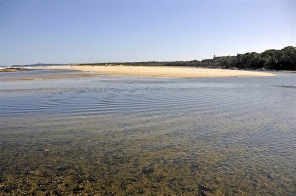 Sawtell (8/03/2013 3:01:03 PM)