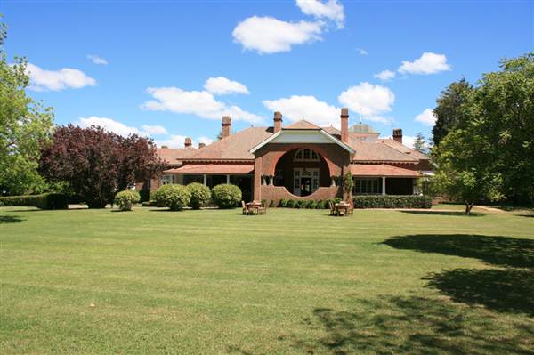 Petersons Armidale Winery & Guesthouse (9/03/2013 1:09:23 AM)