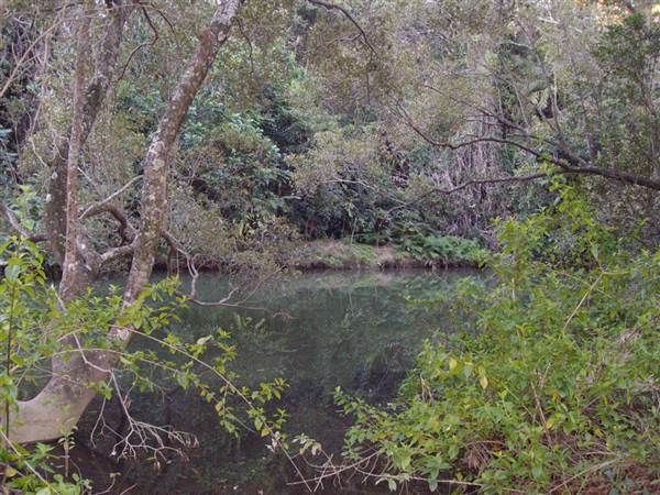 Stotts Island Nature Reserve (9/03/2013 1:37:47 AM)