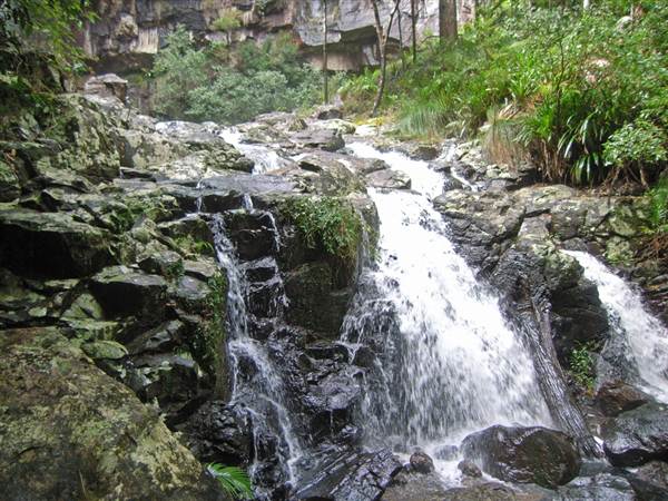 Terania Creek picnic area & Protesters Falls walking track (9/03/2013 1:40:05 AM)