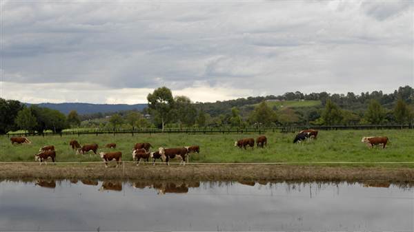 Richmond and surrounds (9/03/2013 3:07:45 AM)