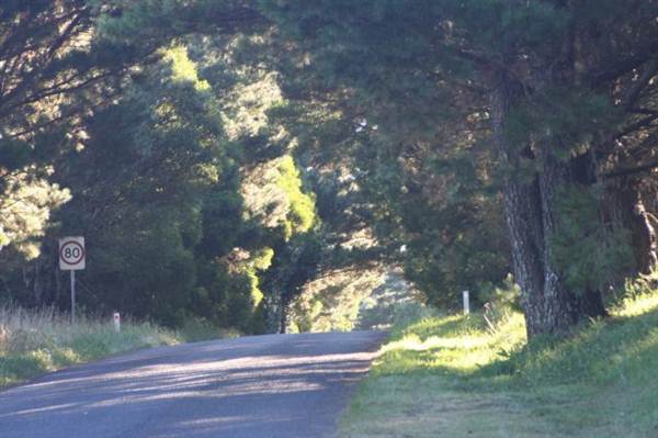 Robertson - Southern Highlands (9/03/2013 8:11:02 PM)