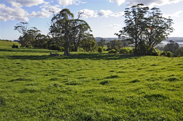 Robertson - Southern Highlands (9/03/2013 8:13:53 PM)